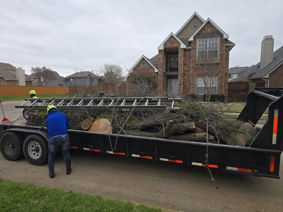 Expert Tree Removal with proper safety equipment in Martinsville